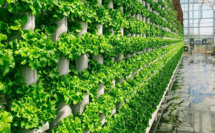 green technologies - VyapaarJagat.com